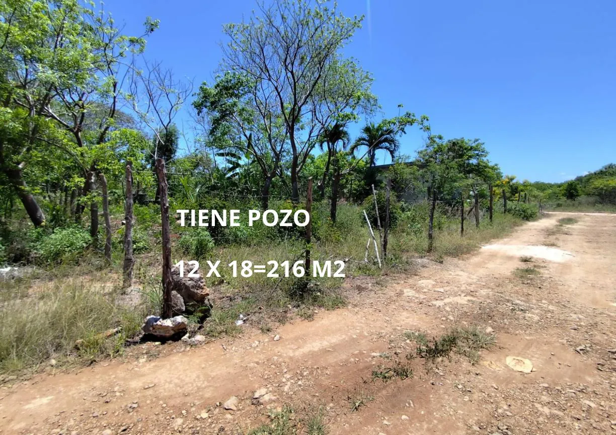 Terreno Spot2