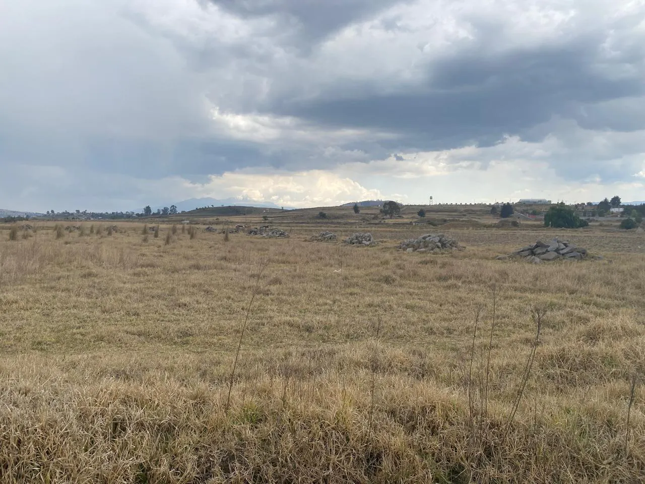 Terreno Spot2