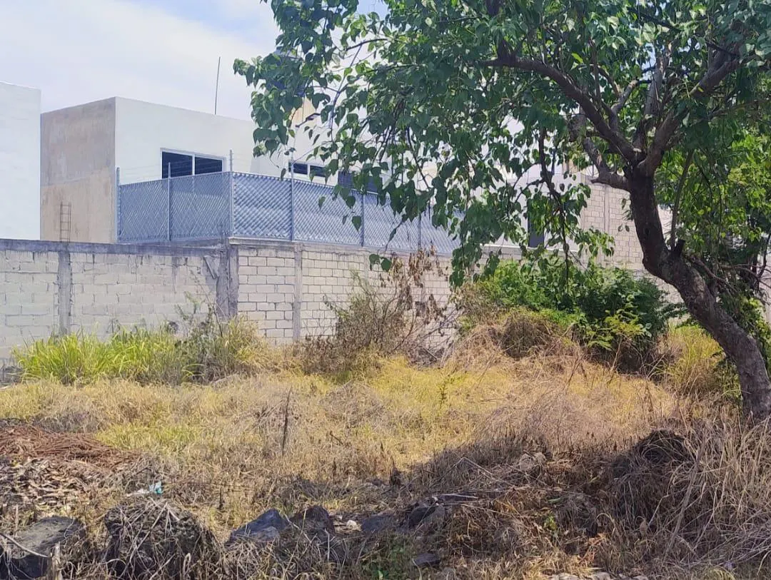 Terreno Spot2