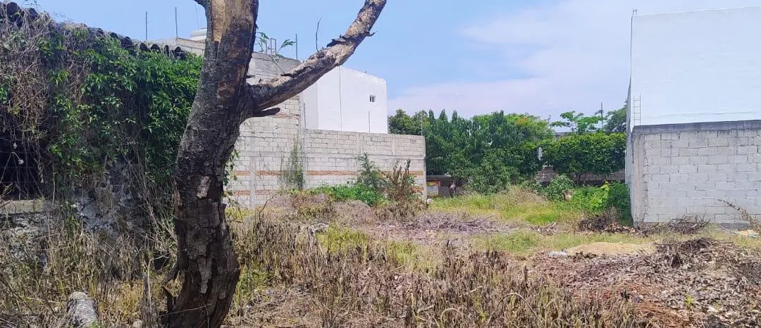 Terreno Spot2