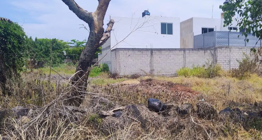 Terreno Spot2