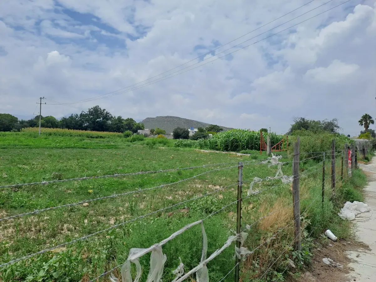 Terreno Spot2