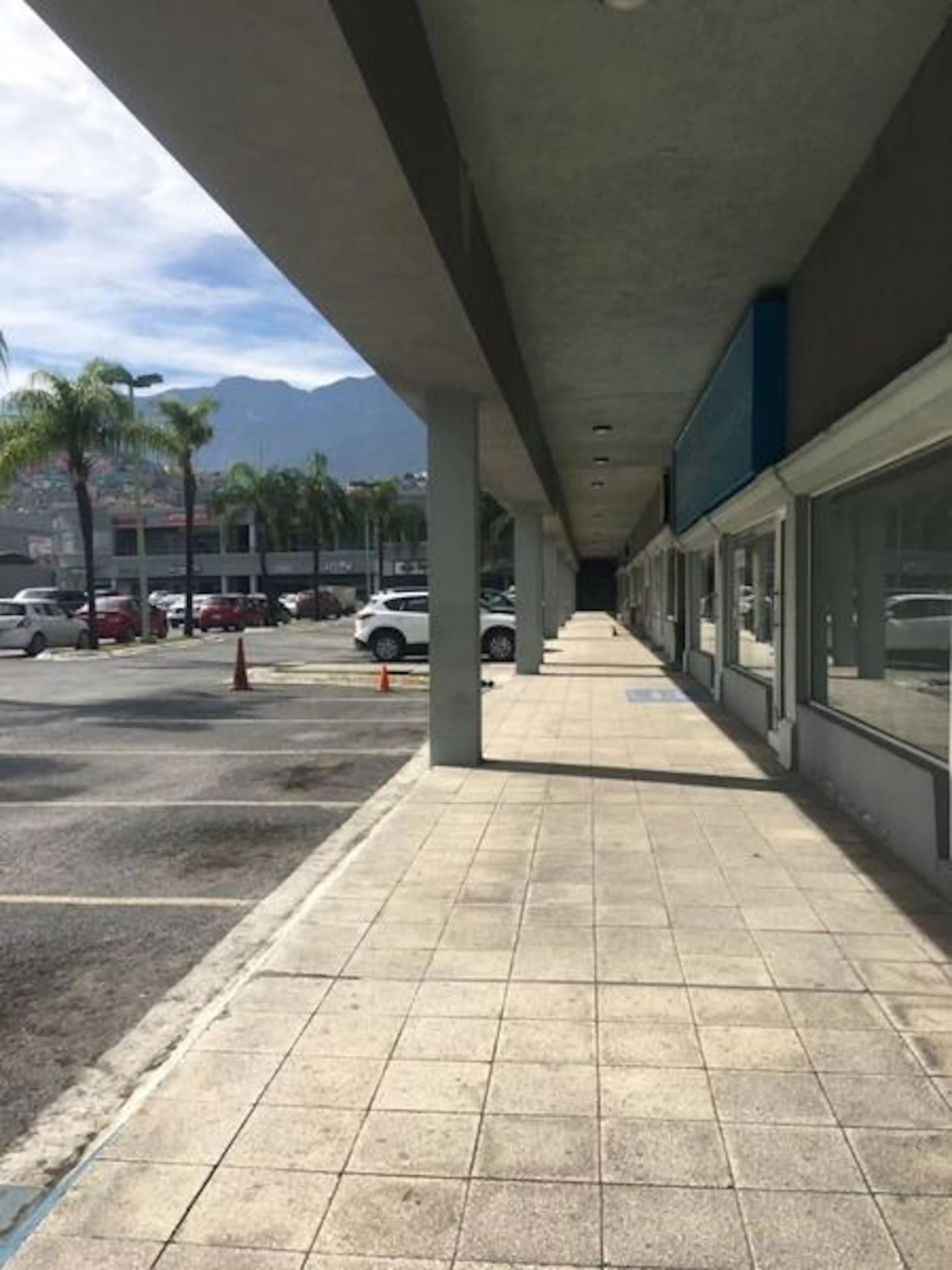 LOCAL COMERCIAL EN RENTA PLAZA REGIA SOBRE AVE. GARZA SADA S/N