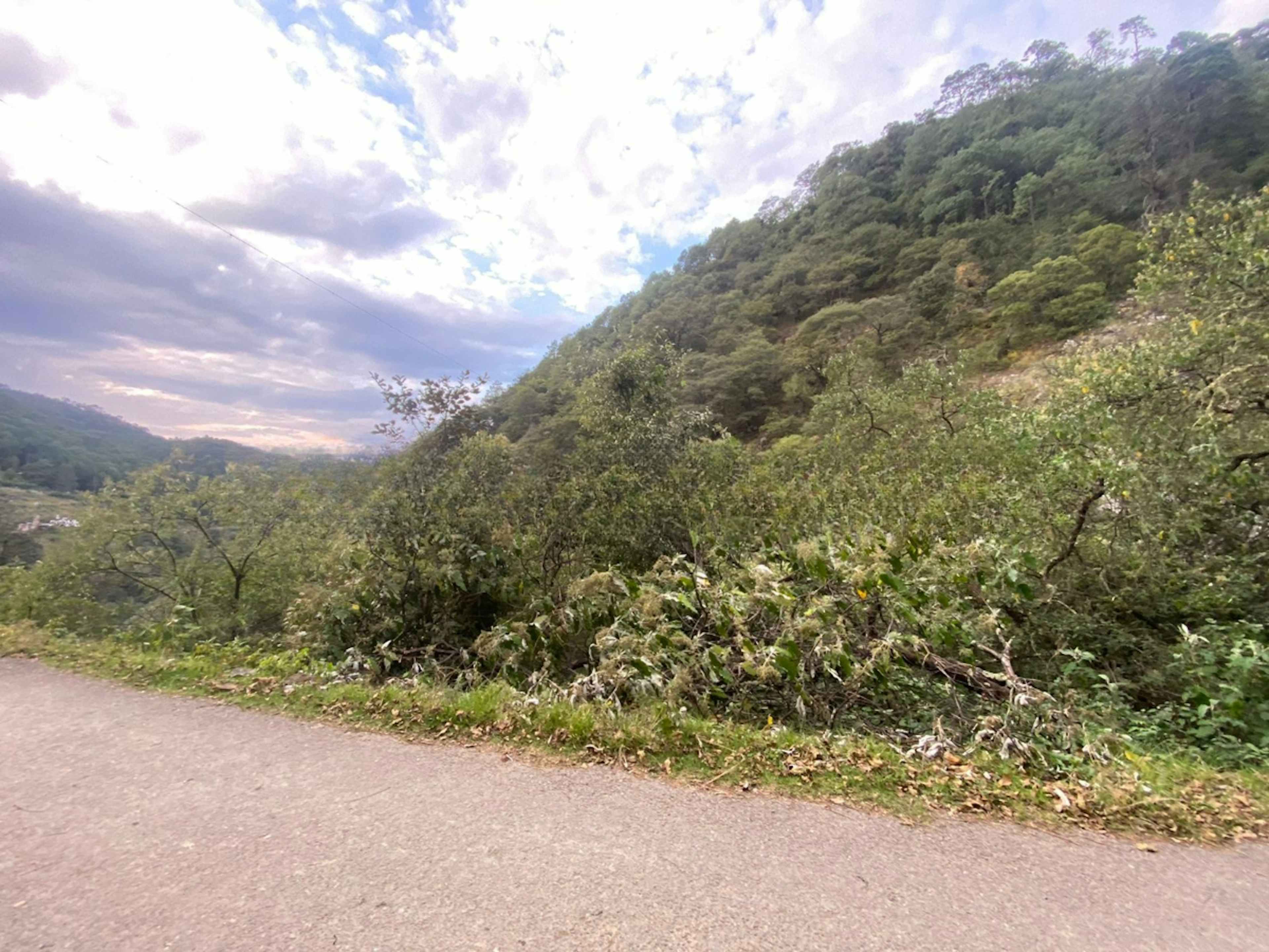 Terreno 15 Hectáreas Pinal De Amoles