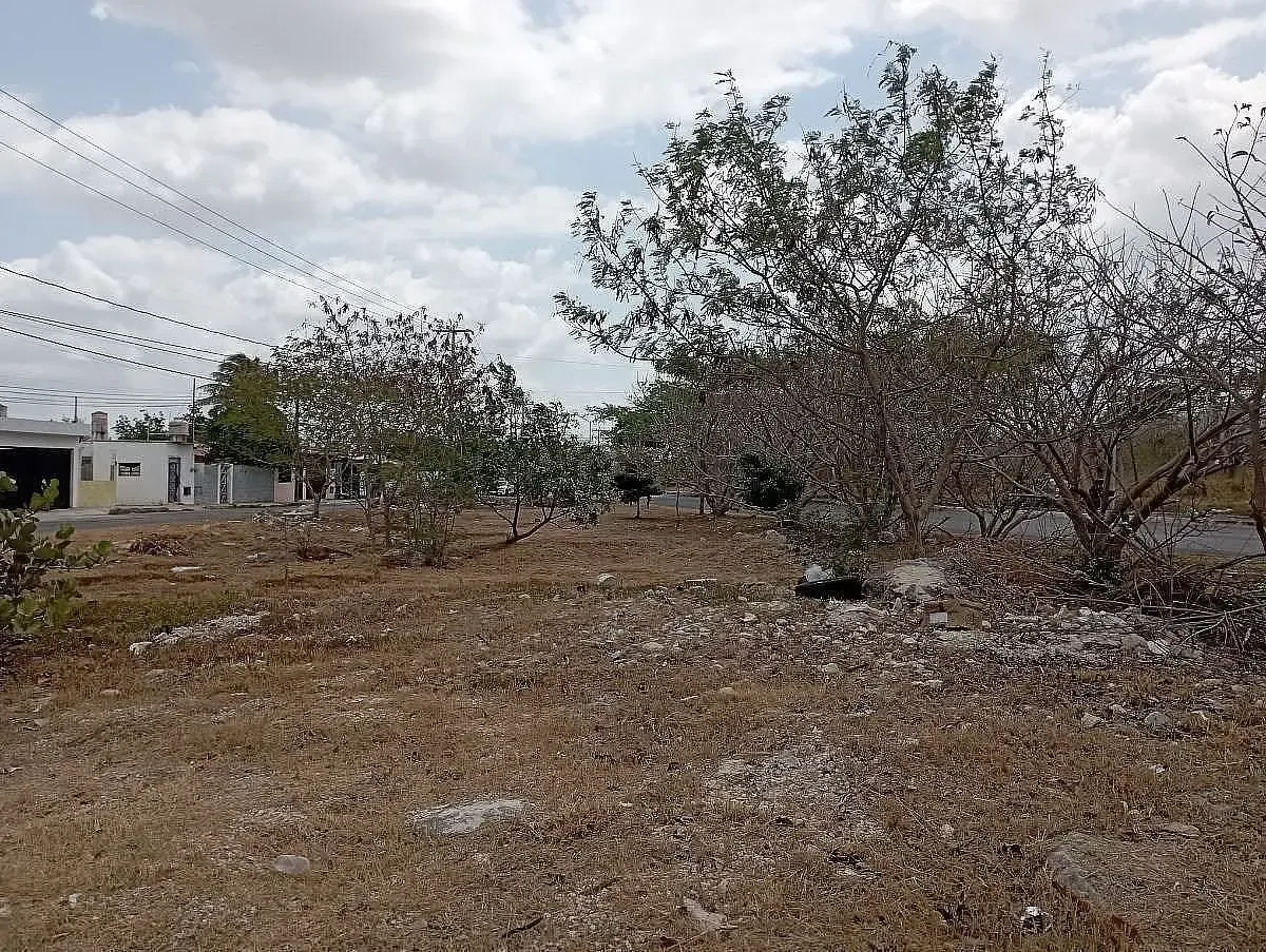 Terreno Spot2