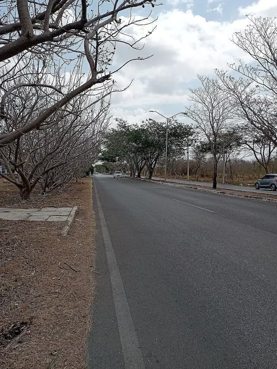 Terreno Spot2
