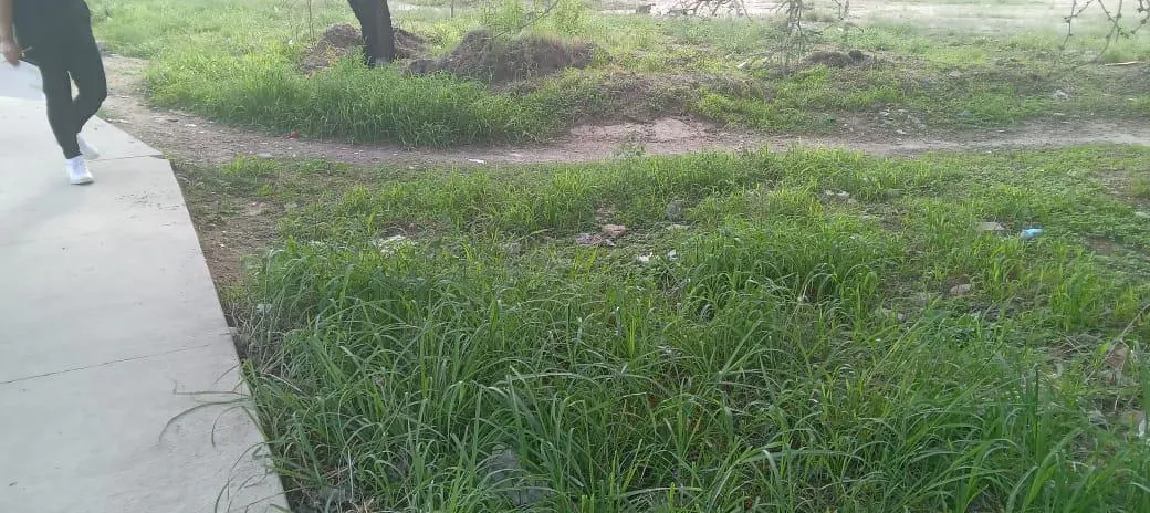Terreno Spot2