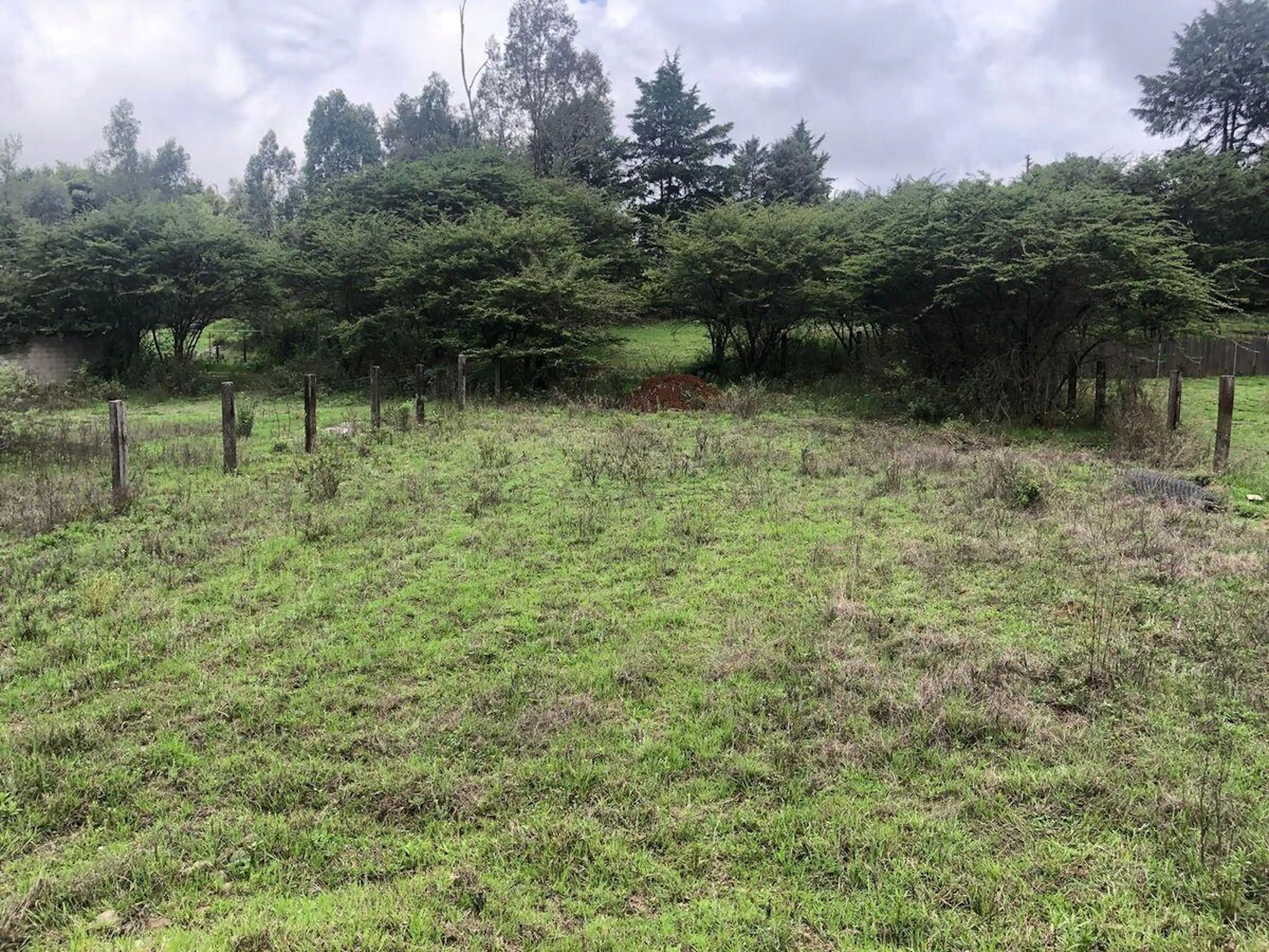 Terreno Plano en Loma de las Palomas: Tu Refugio en Valle de Bravo