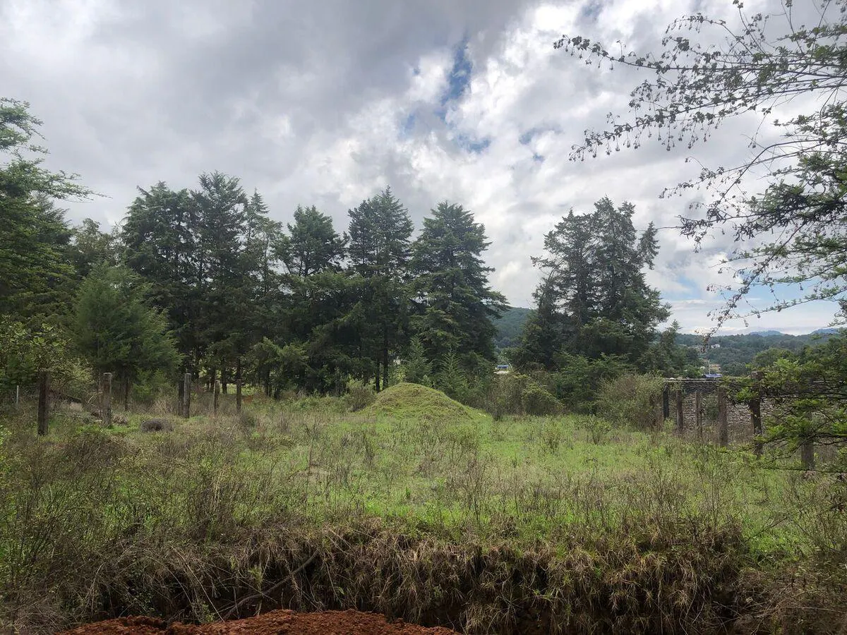 Terreno Spot2