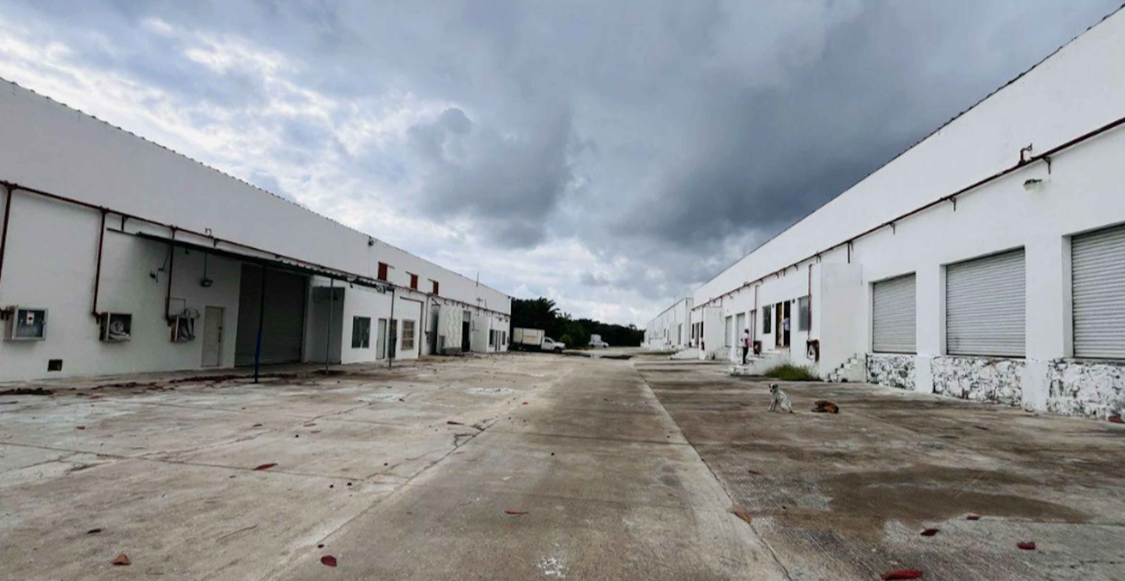 Avenida Benito Juárez