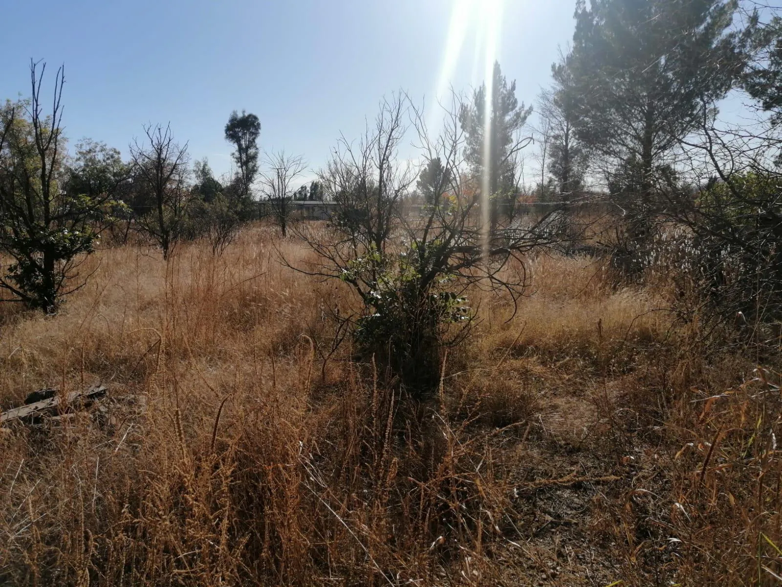 Terreno Spot2