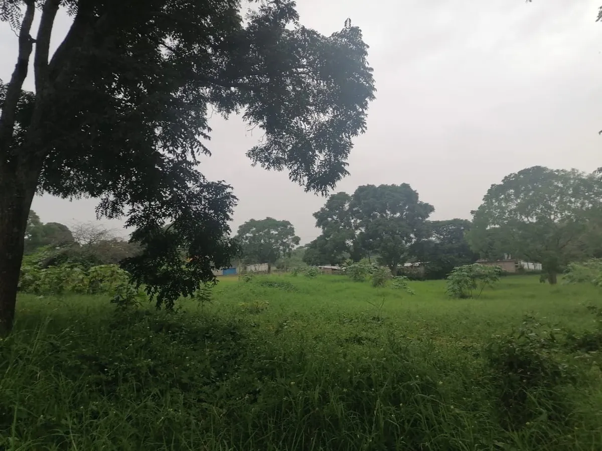 Terreno Spot2