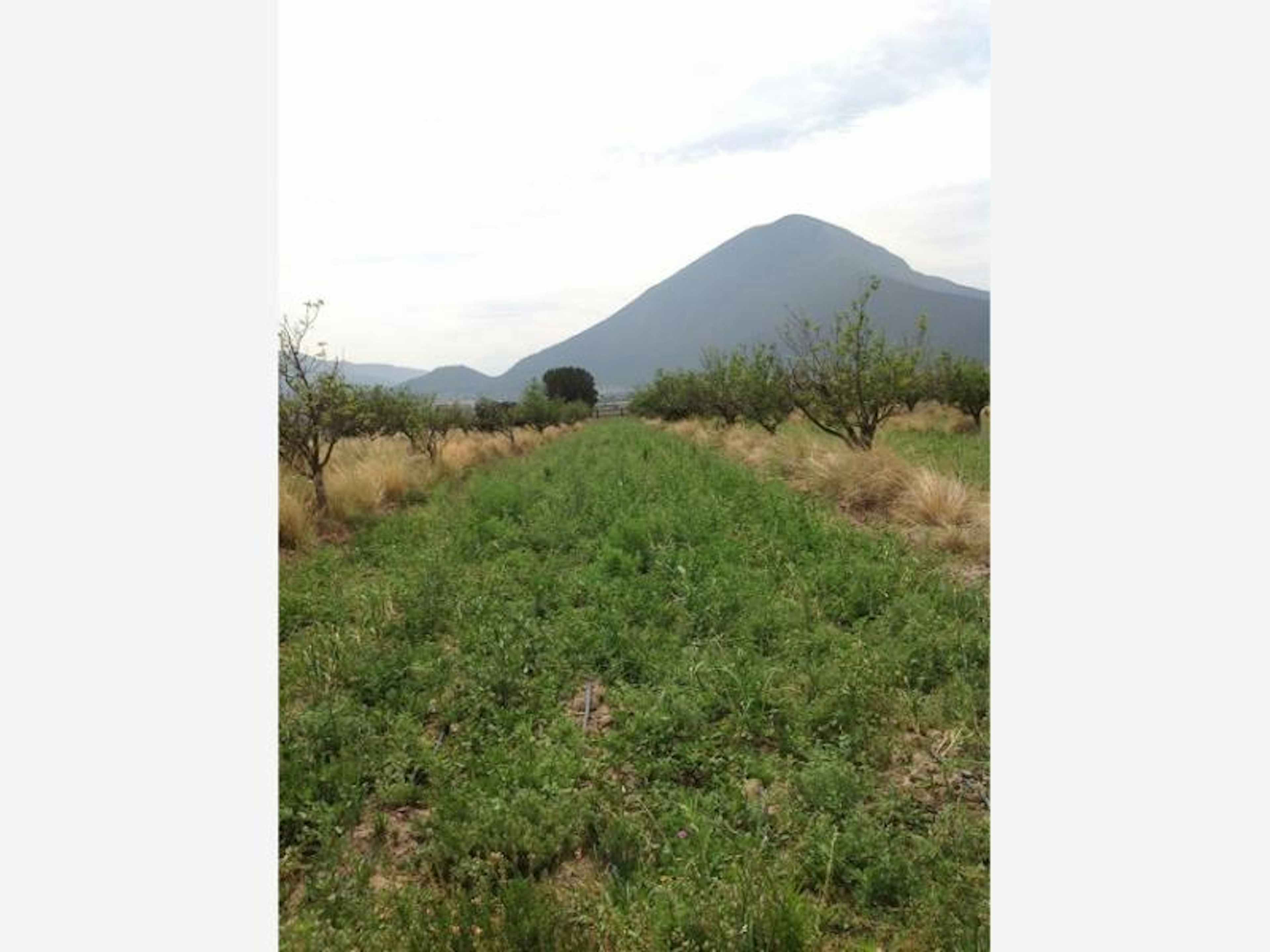 Terreno En Venta En El Tunal, Arteaga, Coahuila De Zaragoza