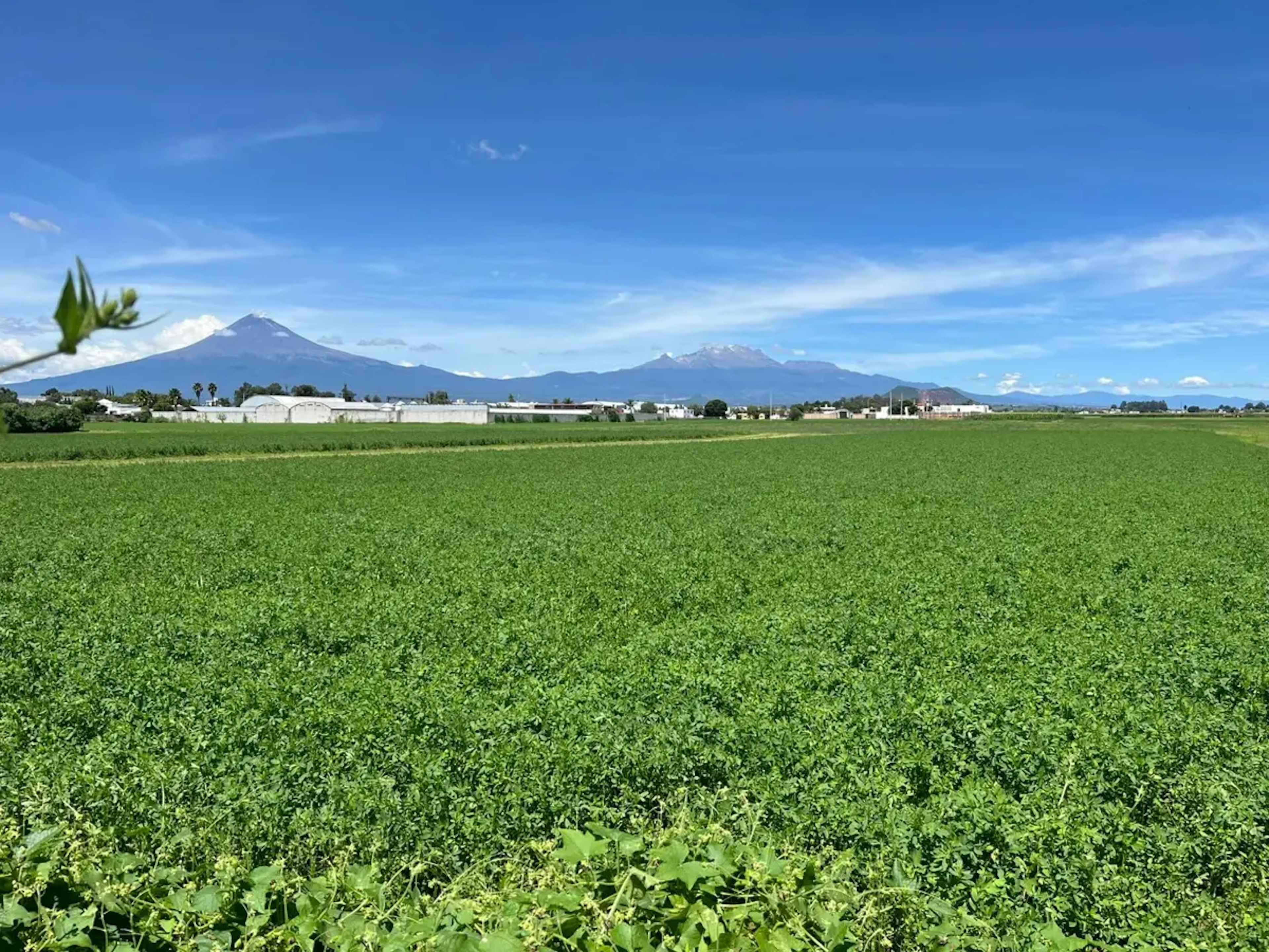 Terreno En Venta En Chipilo De Francisco Javier Mina, San Gregorio Atzompa, Puebla