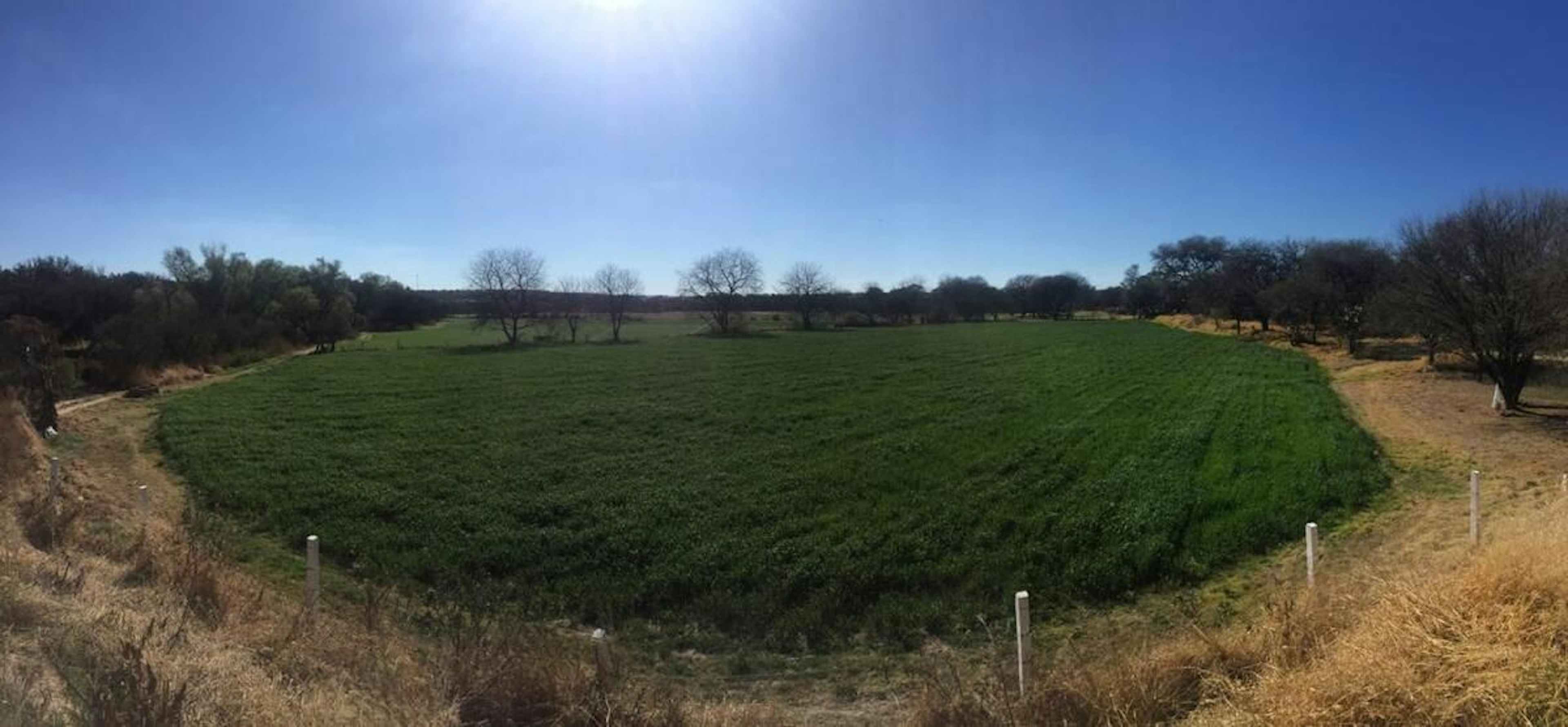 El Salto De Los Salado 523