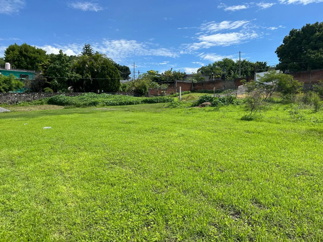 Terreno Spot2