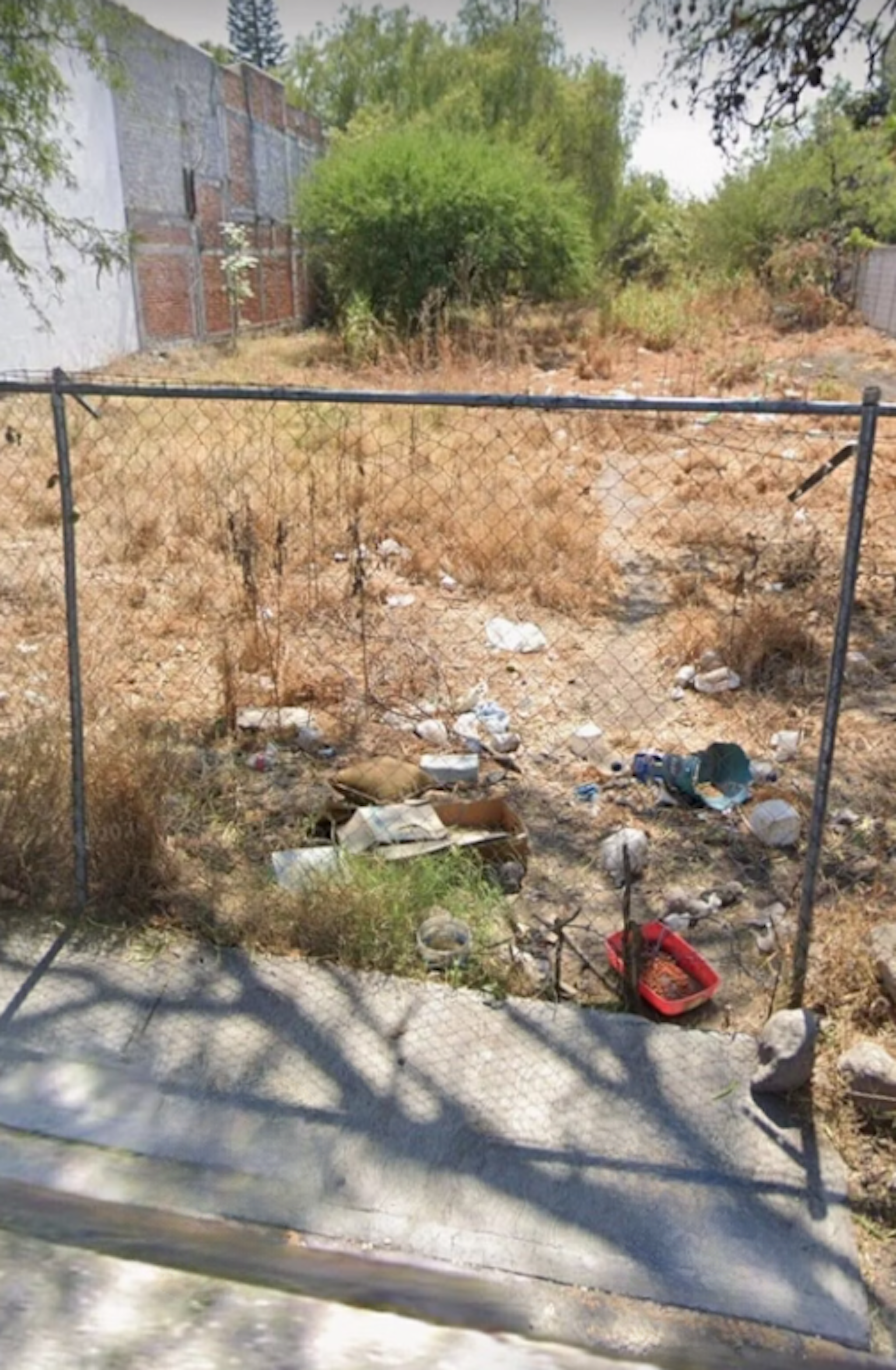 Spot image 0