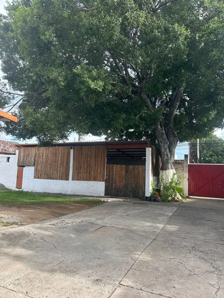 Terreno Spot2