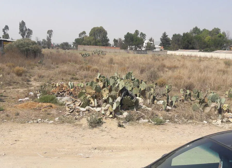 Terreno Spot2
