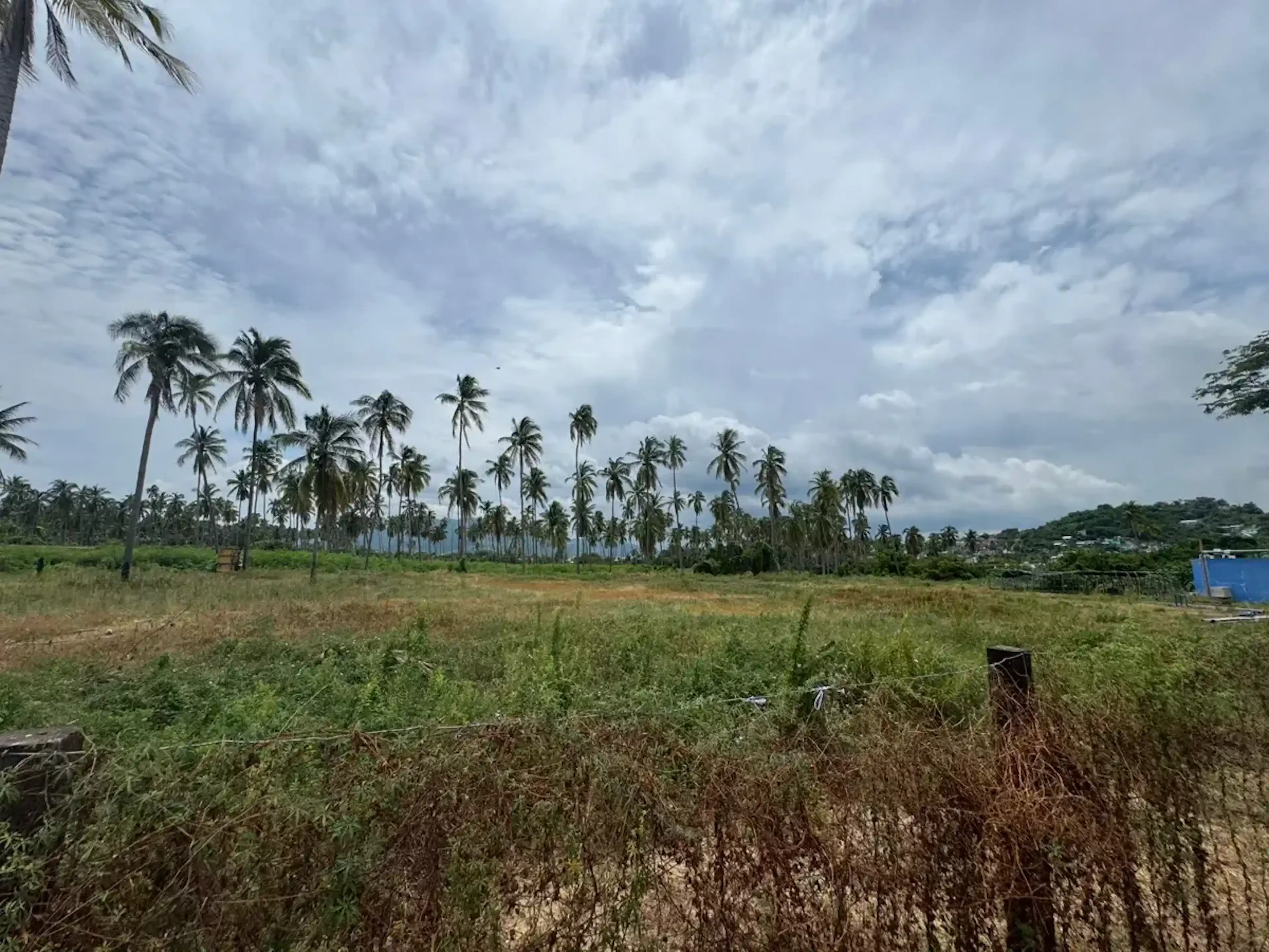 Terreno En Venta En Coyuca De Benítez Centro, Coyuca De Benítez, Guerrero