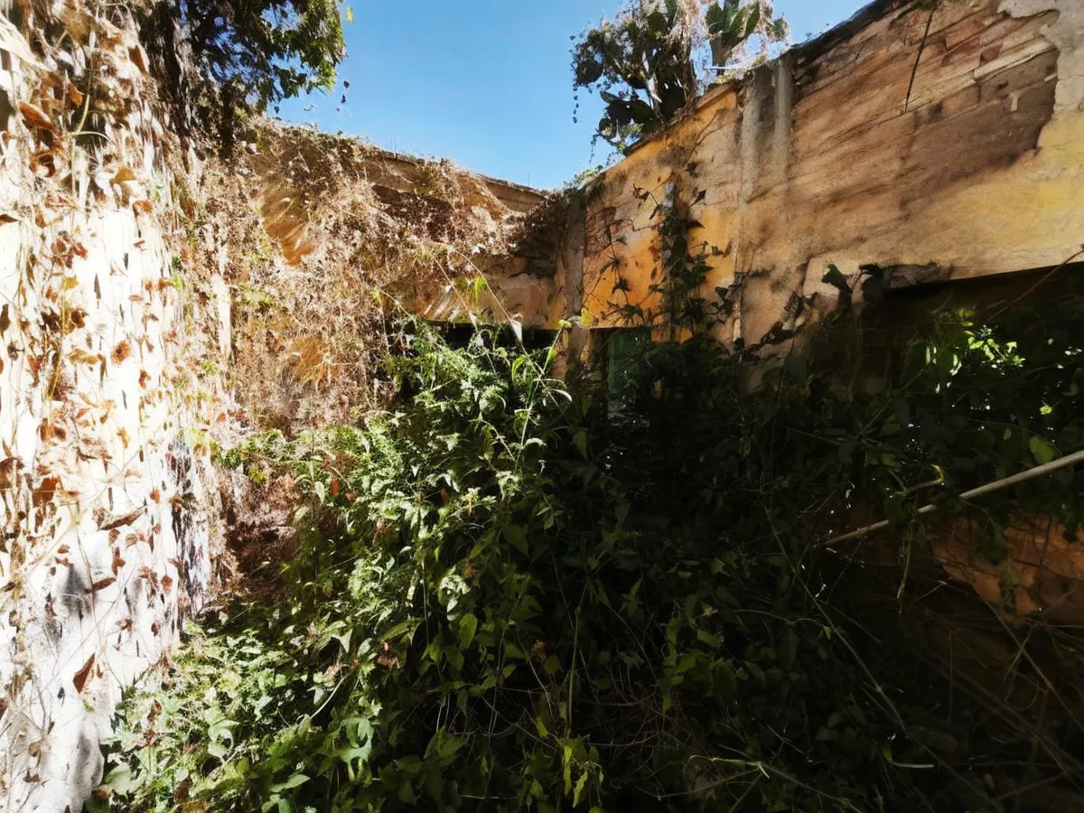 Terreno Spot2