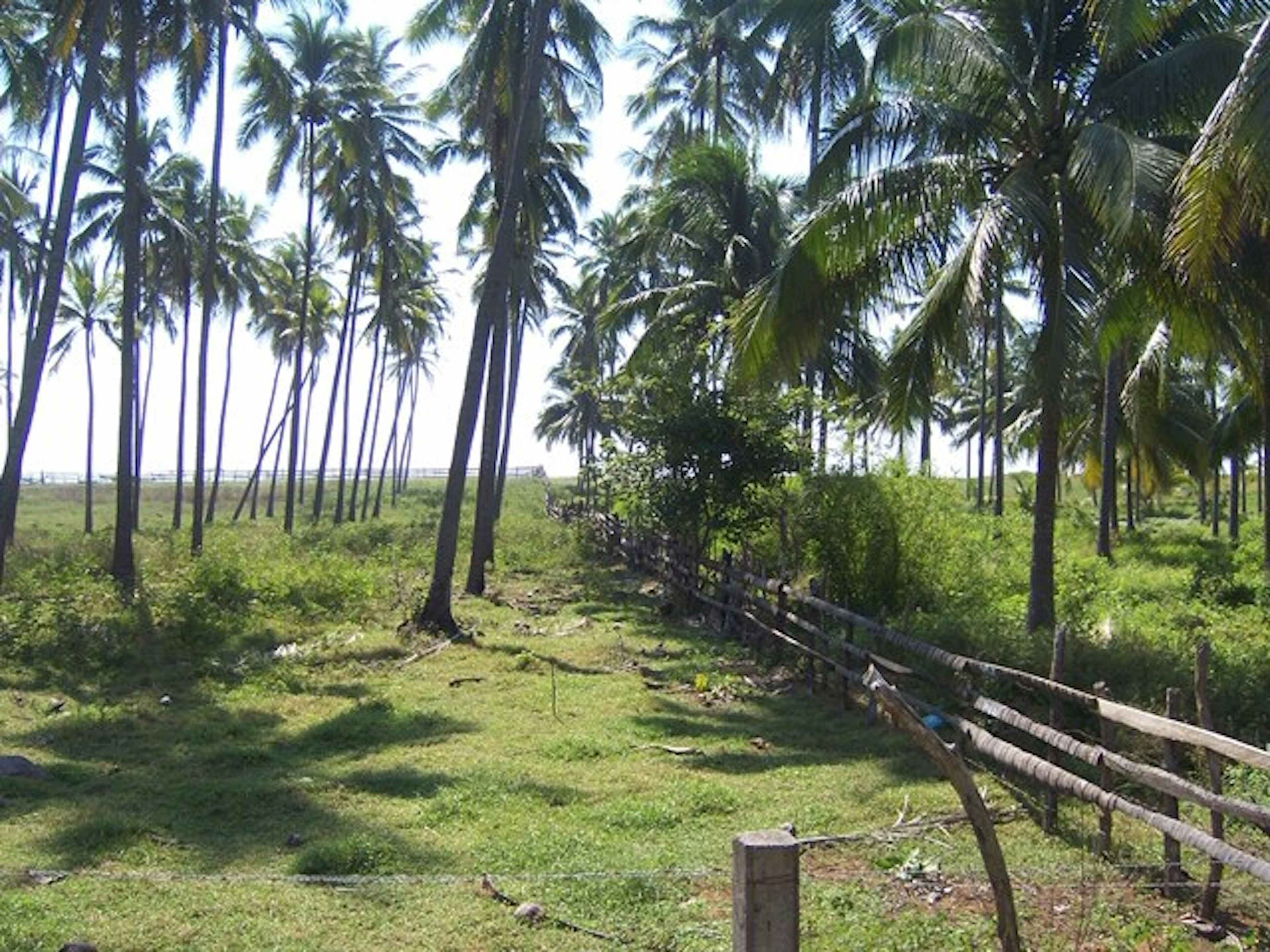 La Mira - Playa Azul