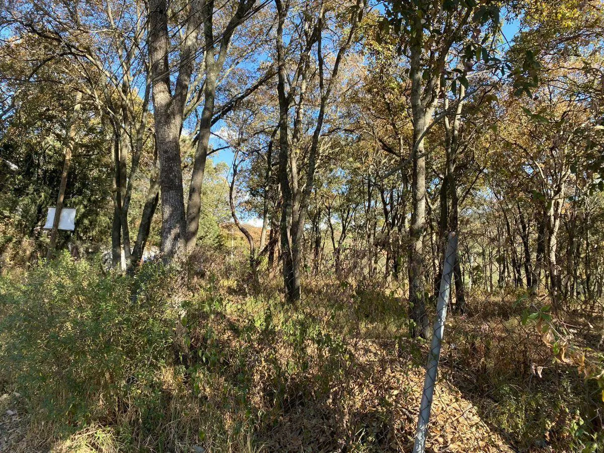 Terreno Spot2