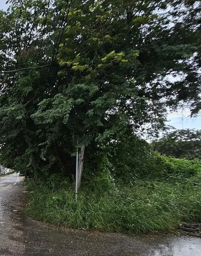 Terreno Spot2