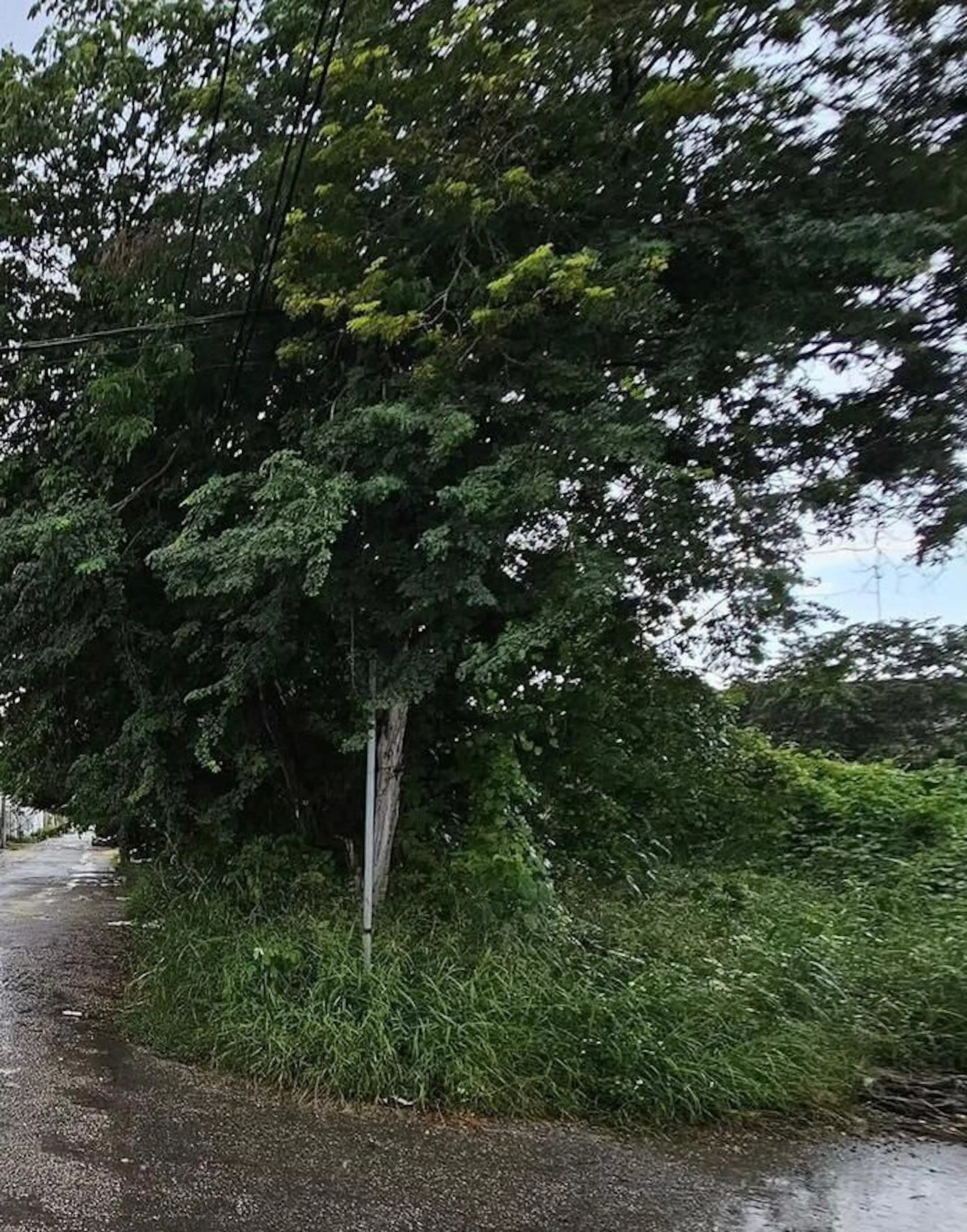 Dentro De Periferico De Merida, En El Norte Terrenos