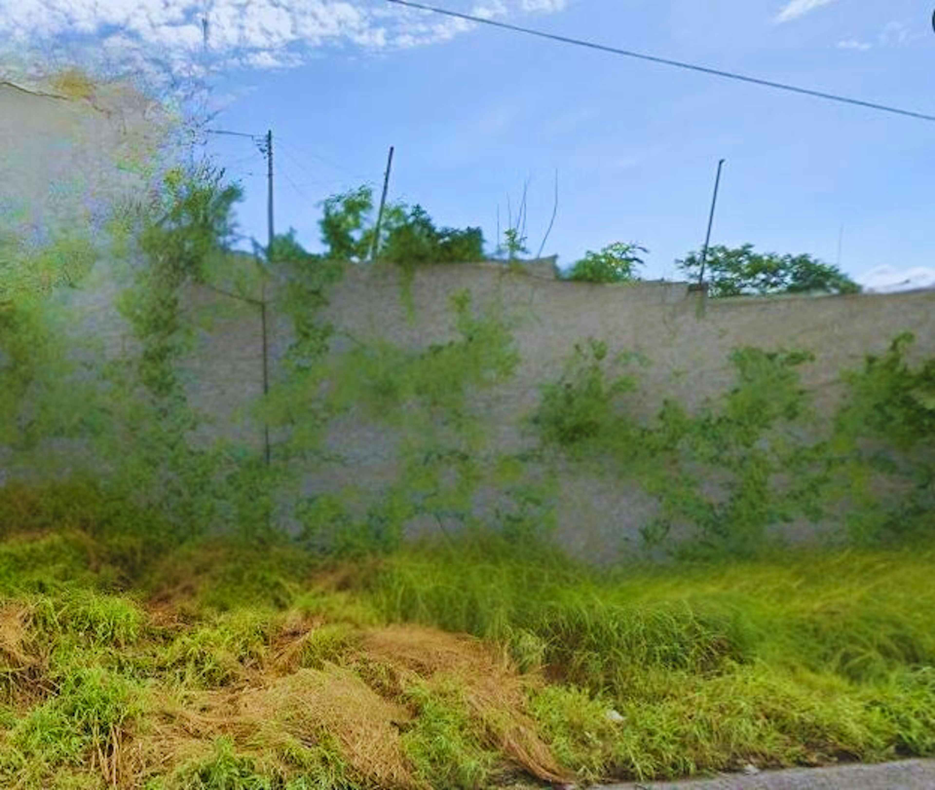 Segunda De Pino Y Carretera Teuixtla