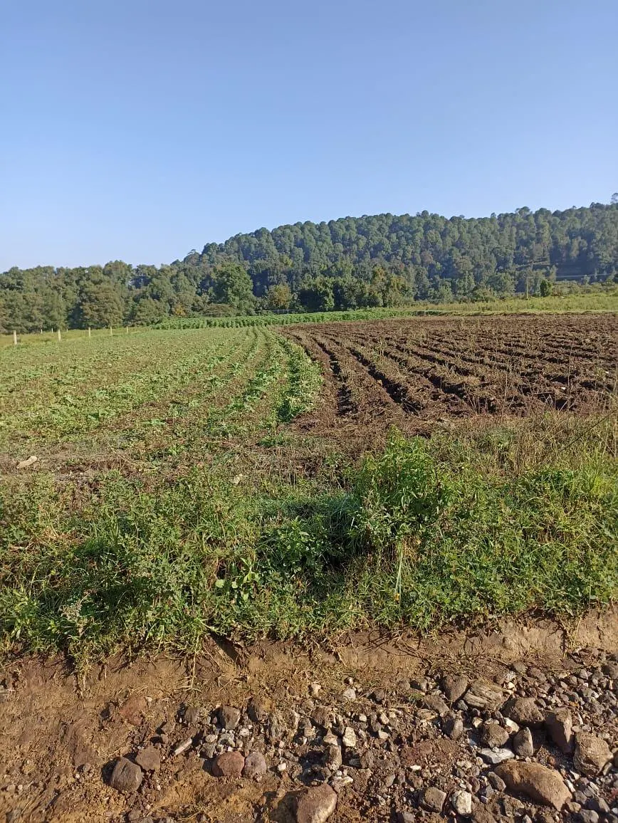Terreno Spot2