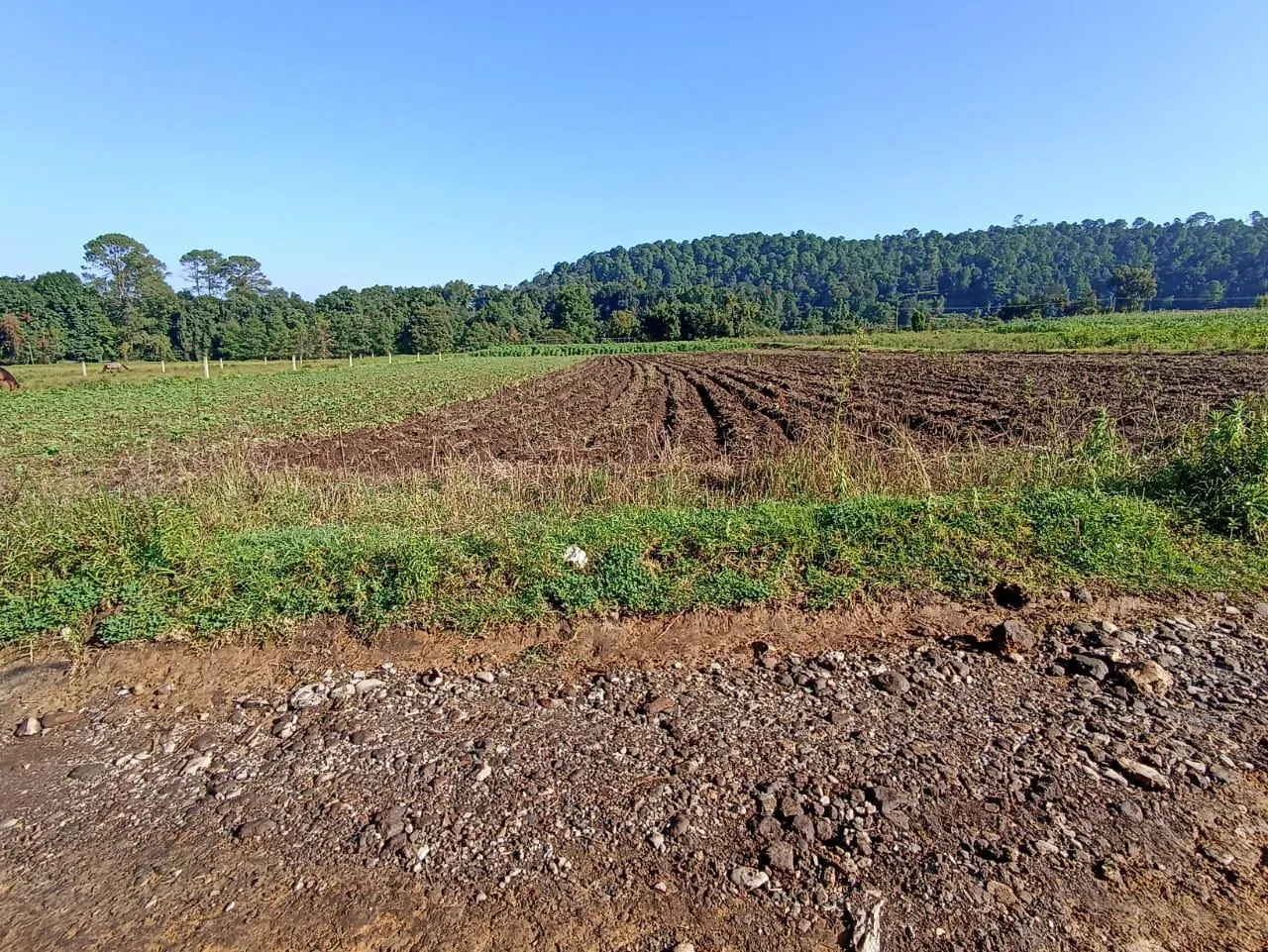 Terreno Spot2
