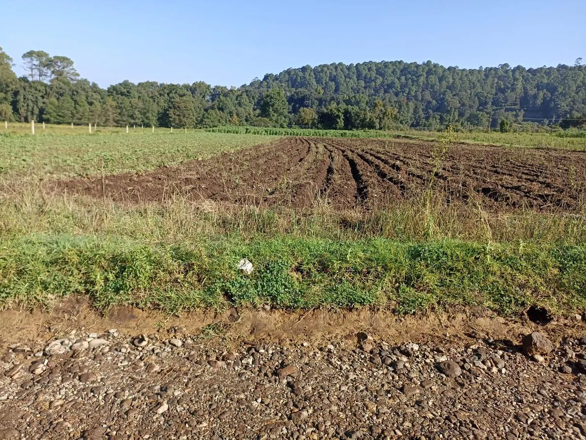 Terreno Spot2
