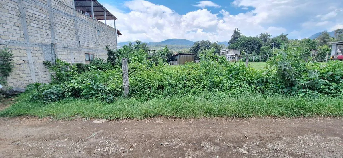 Terreno Spot2