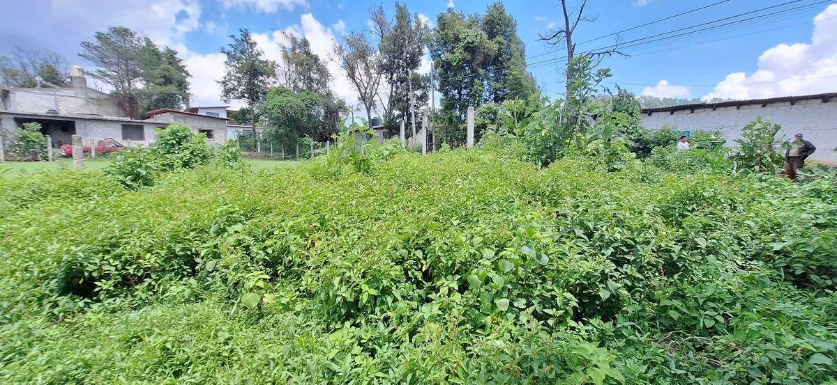 Terreno Spot2