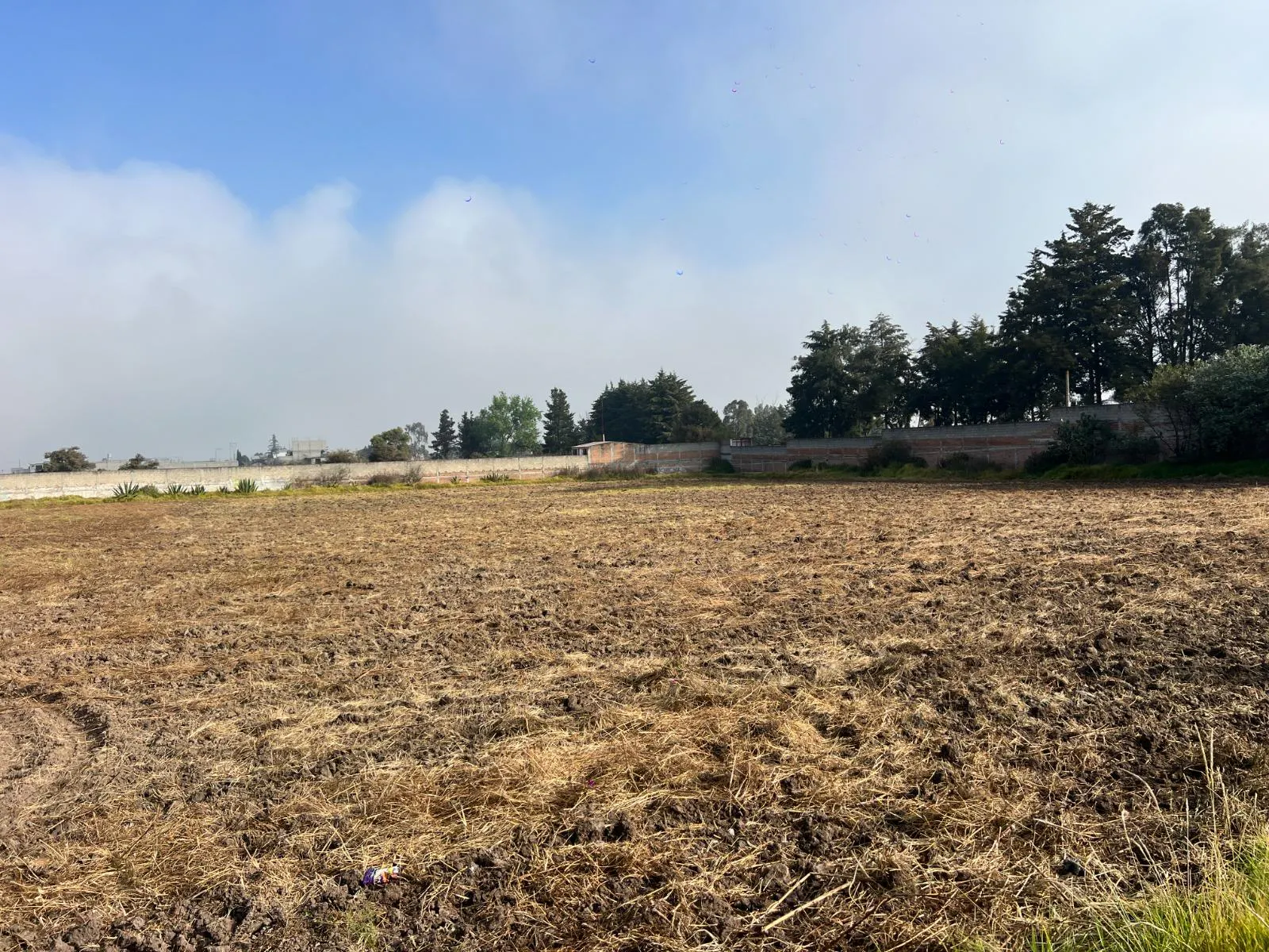 Terreno Spot2
