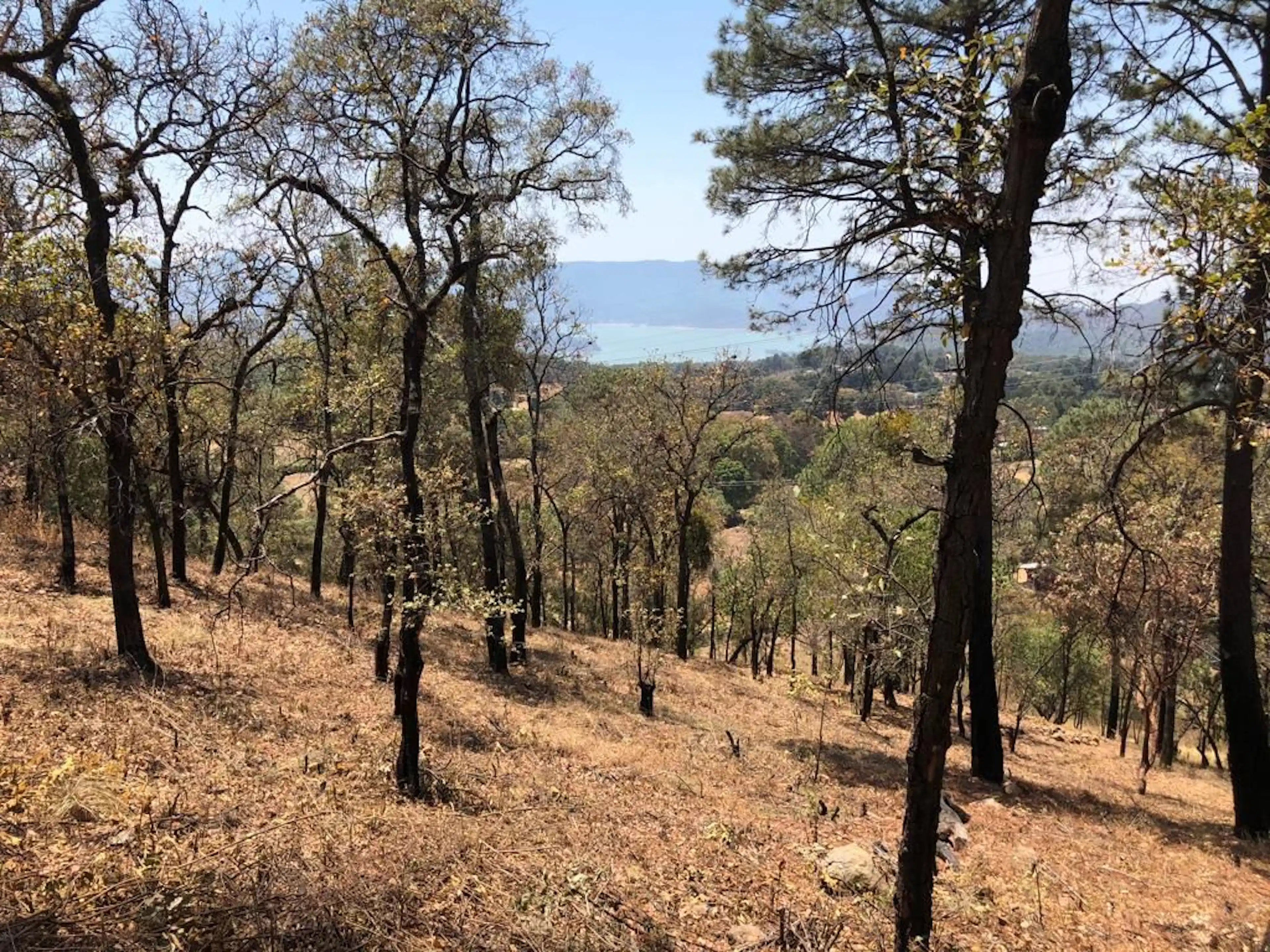 San Gabriel Ixtla