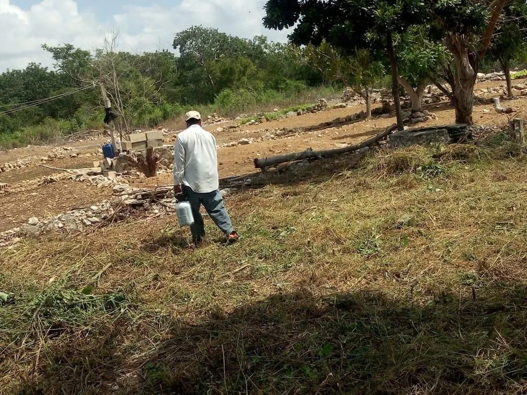 Terreno Spot2