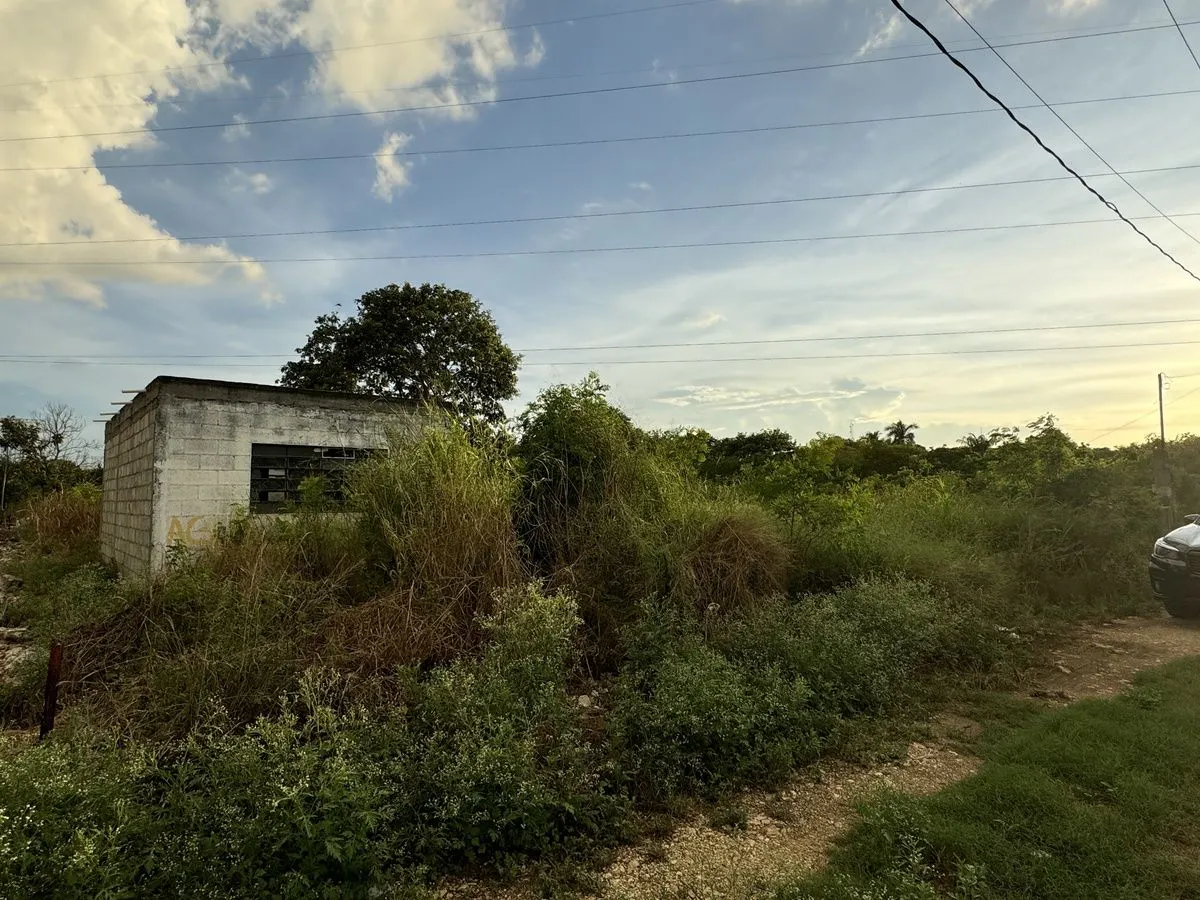 Terreno Spot2