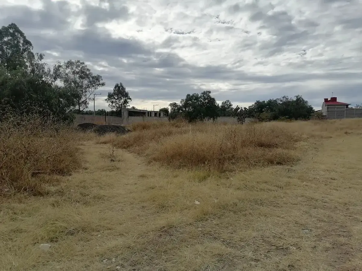 Terreno Spot2
