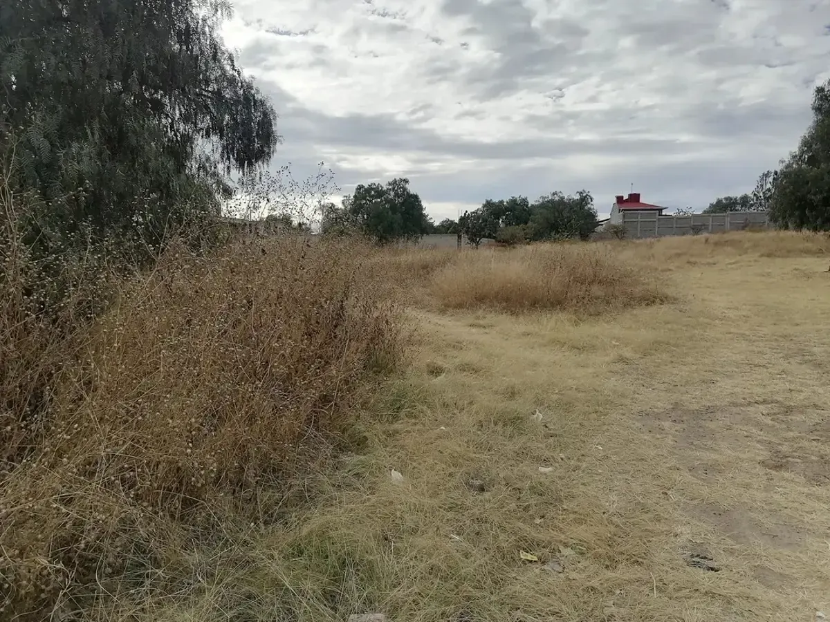 Terreno Spot2