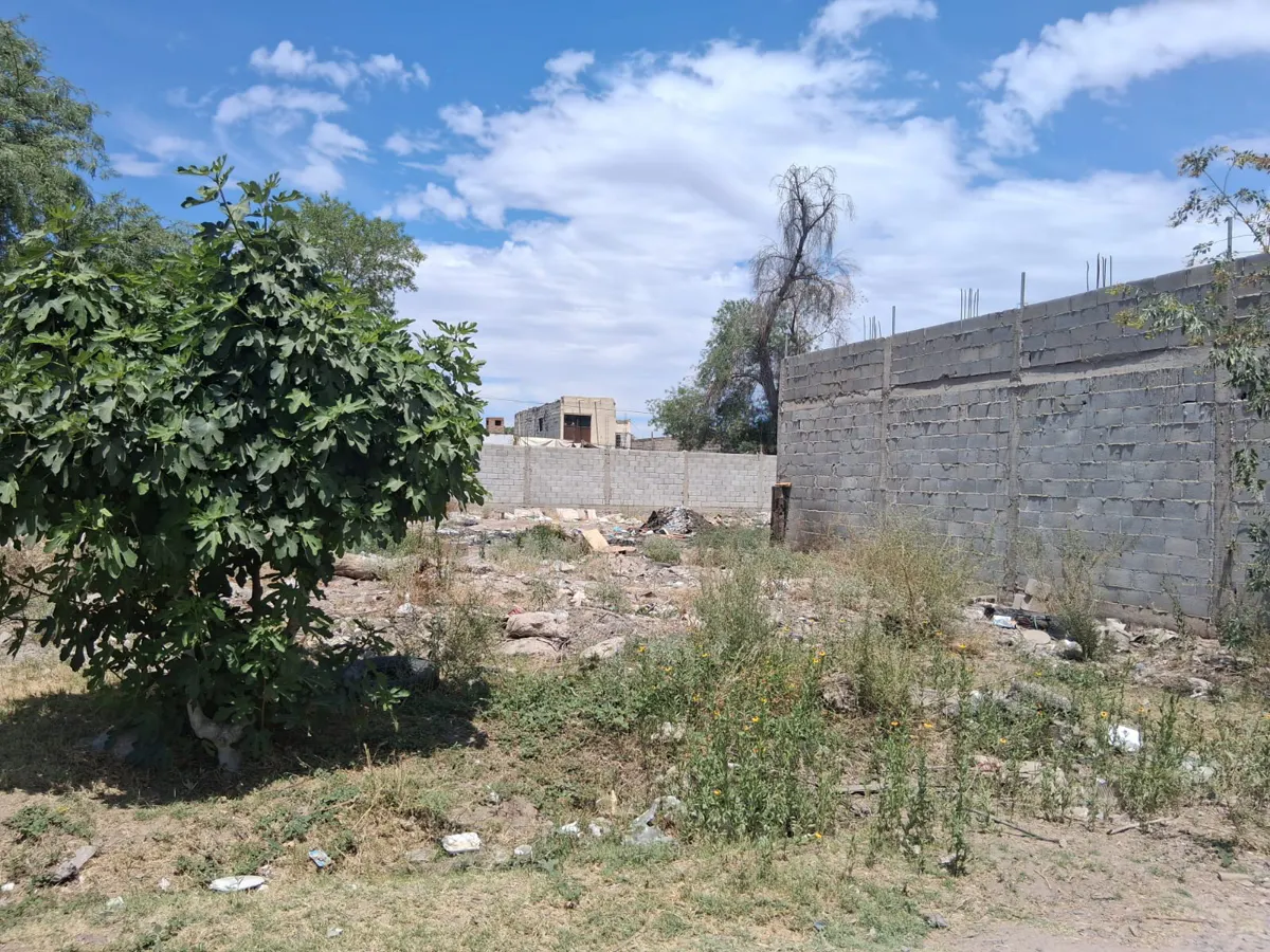 Terreno Spot2