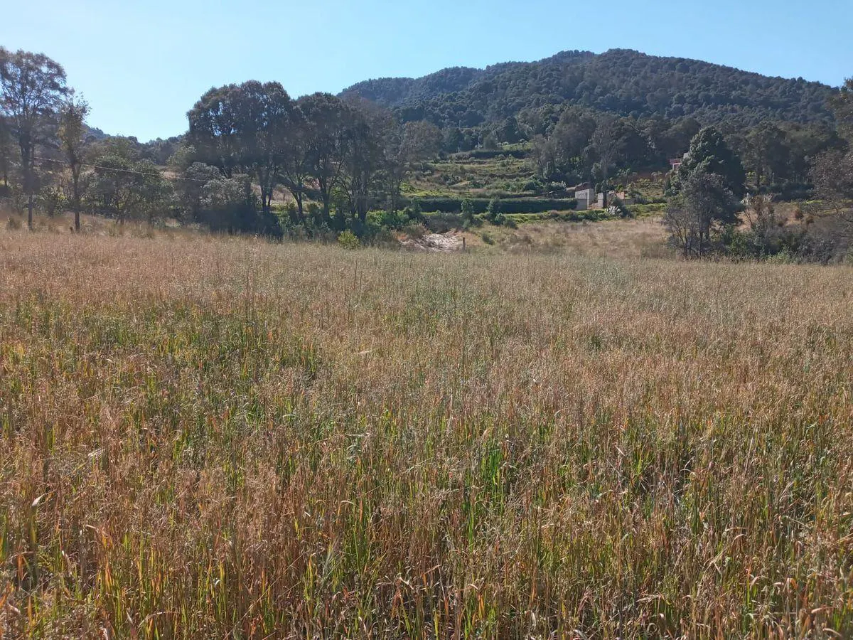 Terreno Spot2
