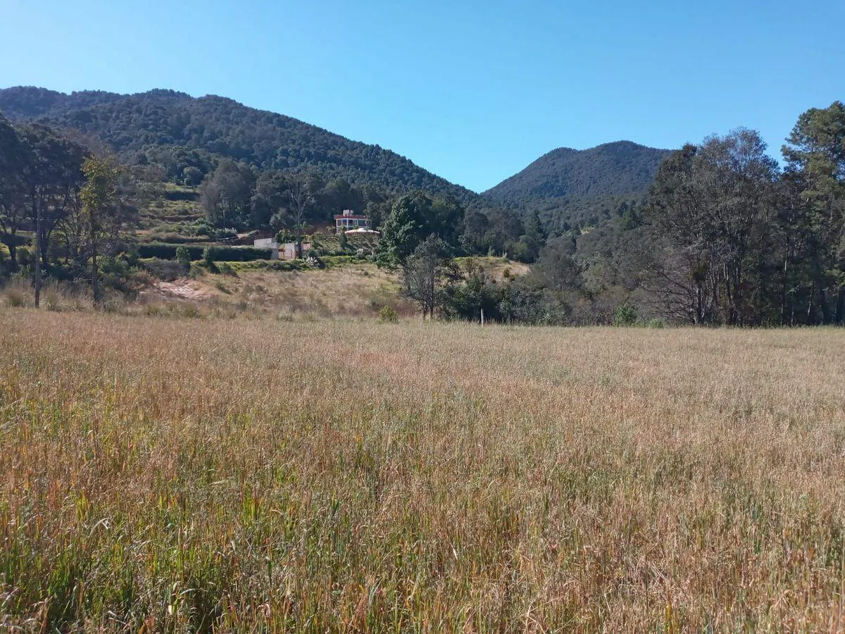 Terreno Spot2