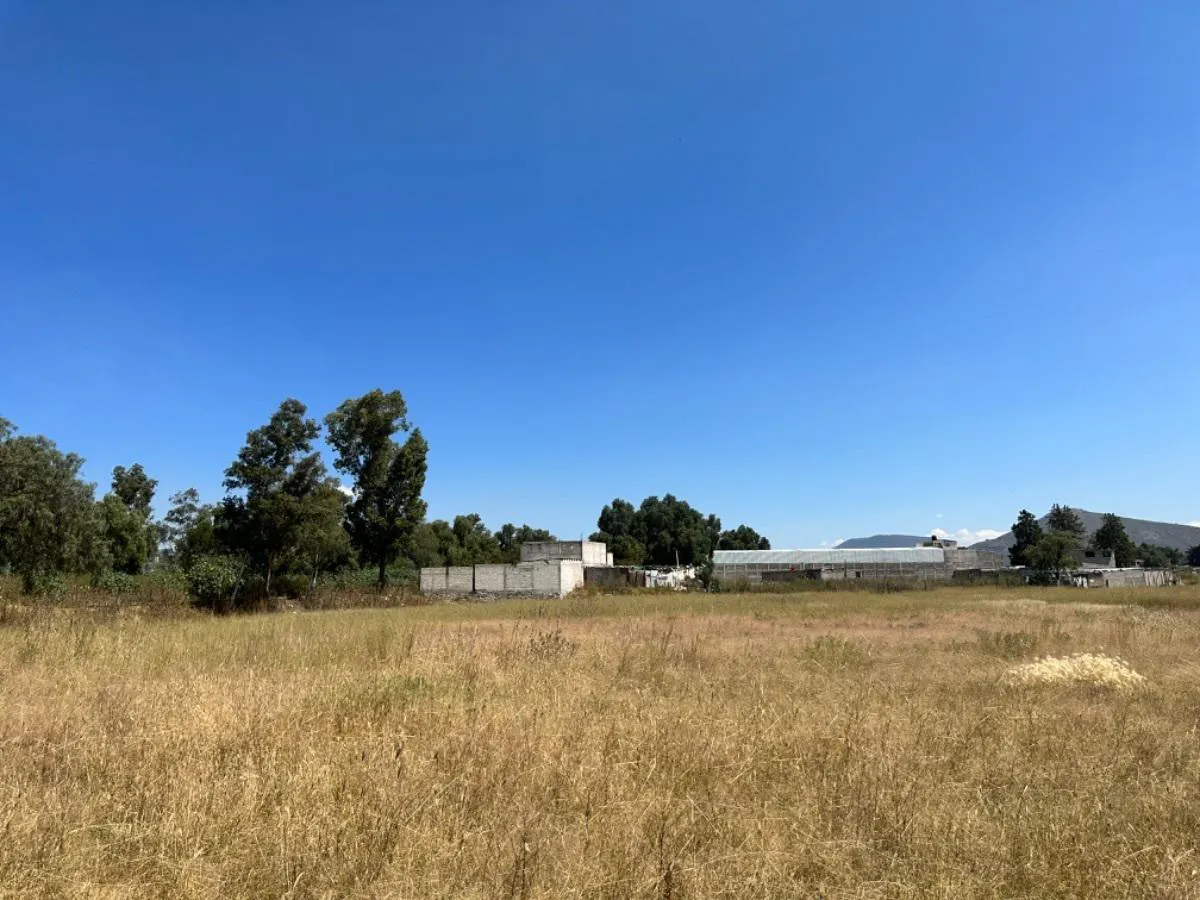 Terreno Spot2
