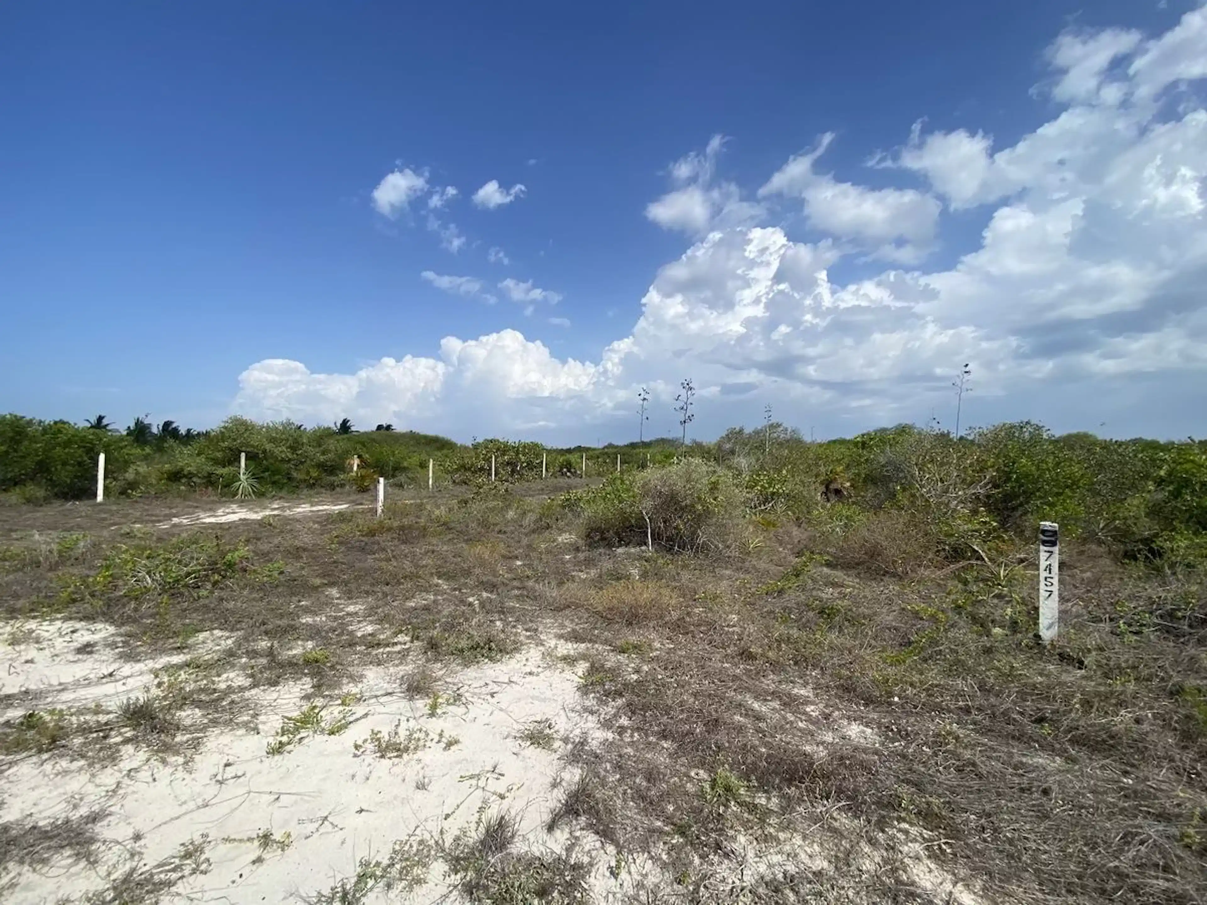 Terreno De Esquina, A 200 Metros De La Playa, San Benito