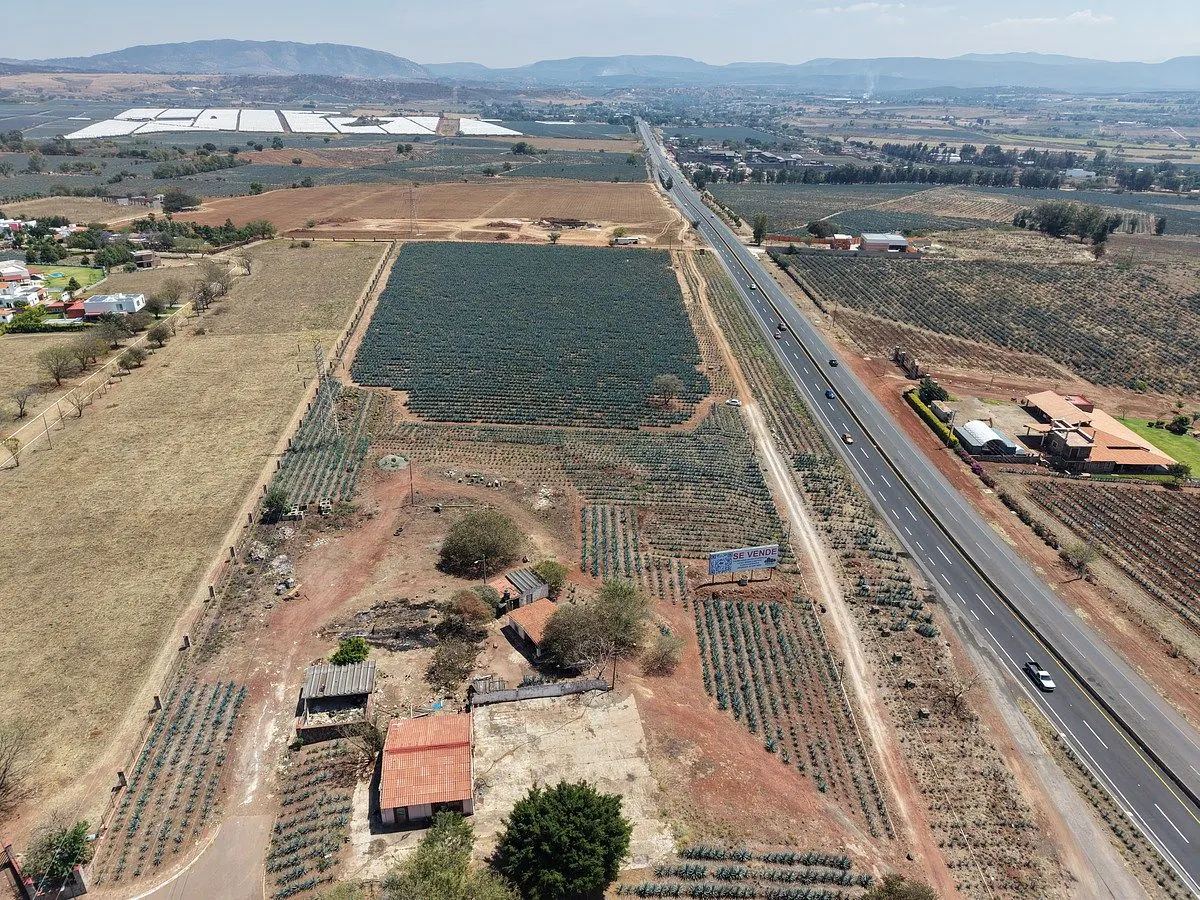 Terreno Spot2