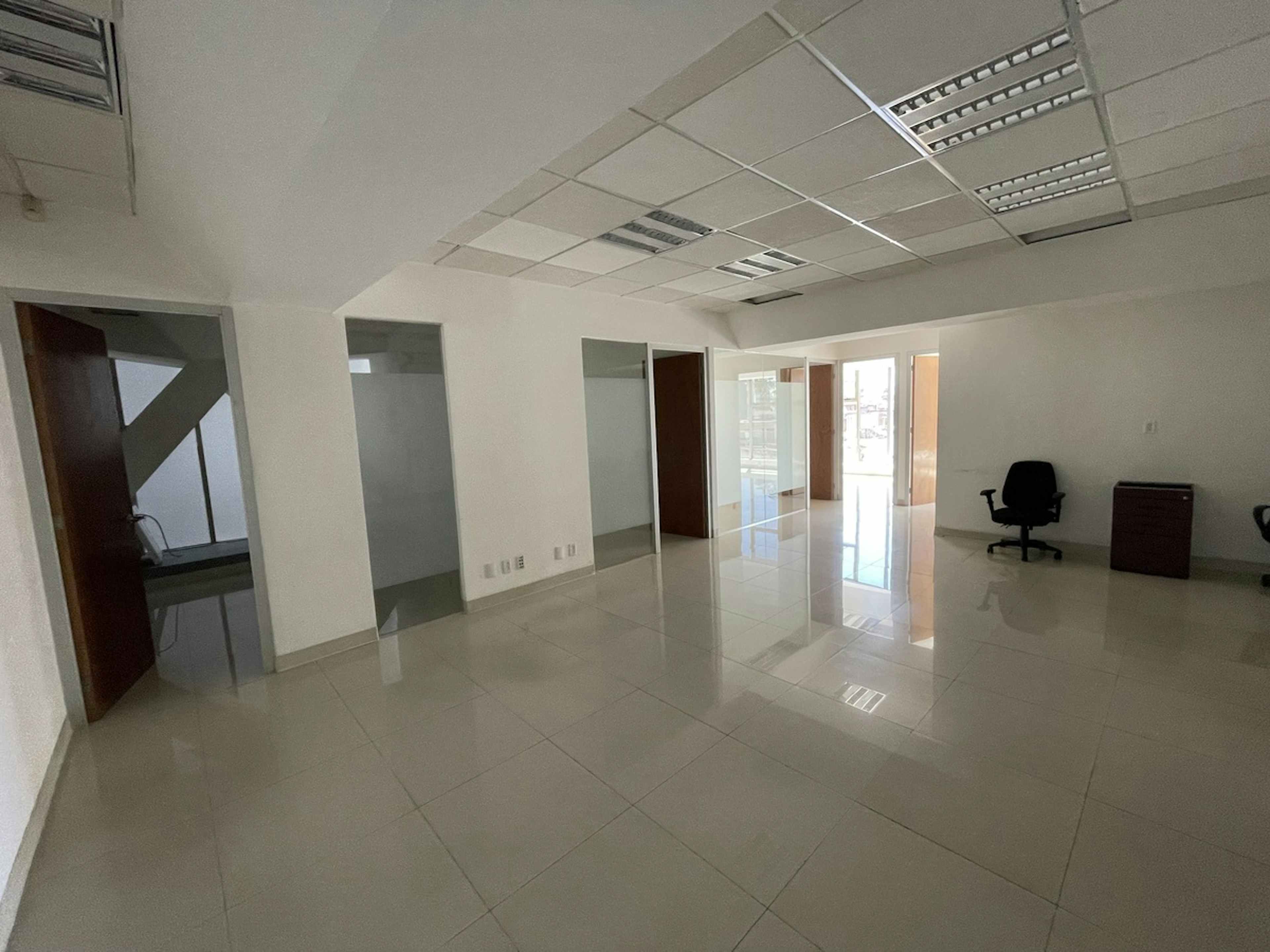 Avenida Insurgentes Sur