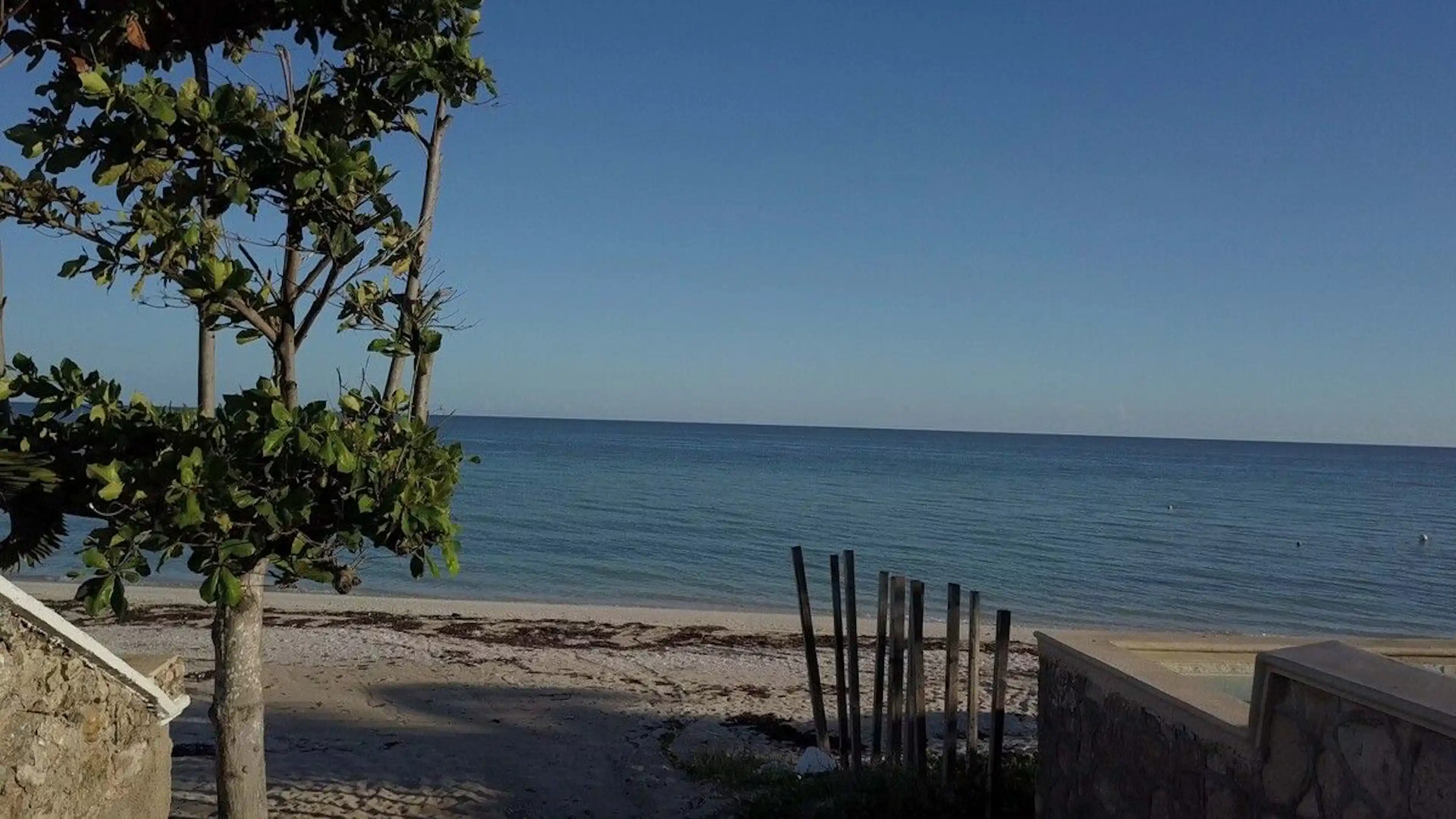 Chicxulub 72