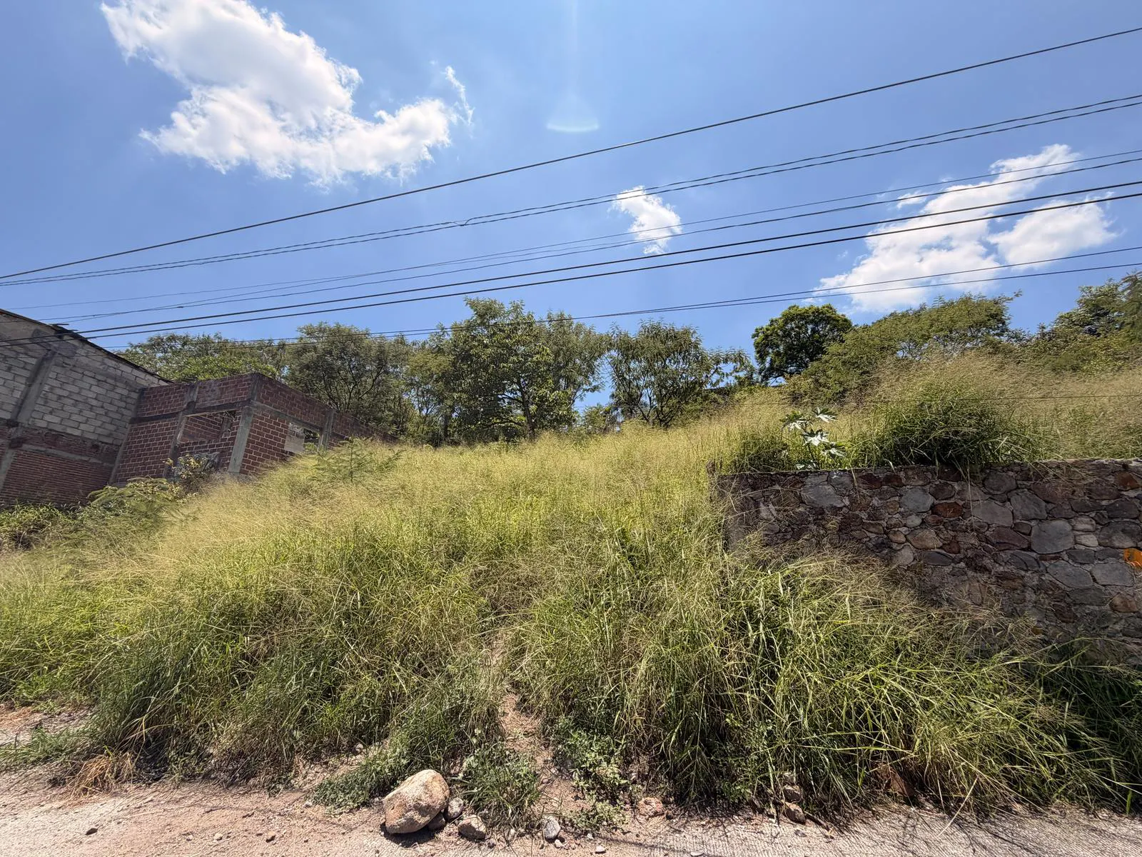Terreno Spot2